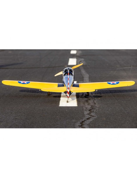 Hangar 9 PT-19 1.4m PNP