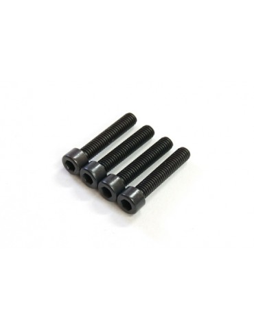 Cooling Head Screw (4pcs.)