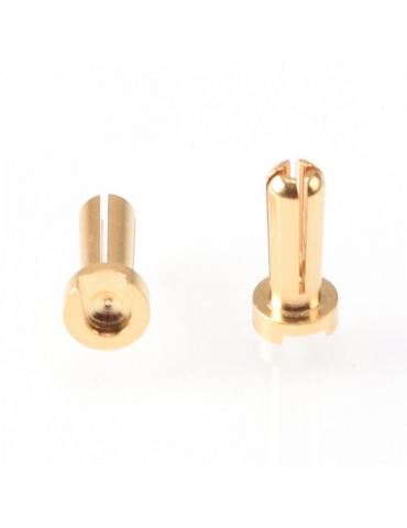 Ruddog 4mm Gold Plug Male 12mm (2)