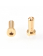 Ruddog 4mm Gold Plug Male 12mm (2)