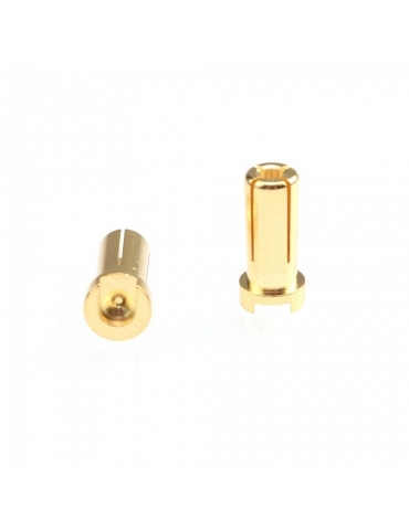 RUDDOG 5mm Gold Plug Male 14mm (2pcs)