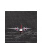 E-flite Twin Otter 0.45m SAFE Select BNF Basic