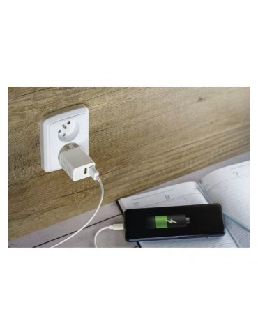 Universalus tinklo USB adapteris (šaltinis) 3.1A (15W)