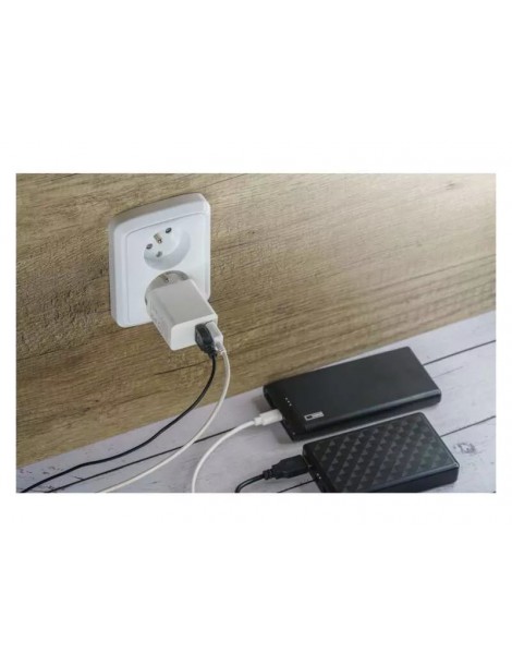 Universalus tinklo USB adapteris (šaltinis) 3.1A (15W)