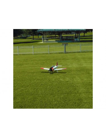 RealFlight Evolution RC Flight Simulator Software Only