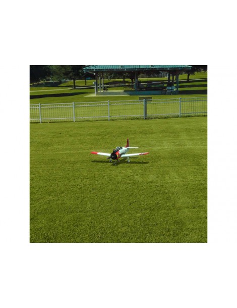 RealFlight Evolution RC Flight Simulator Software Only