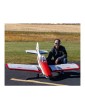 Hangar 9 Piper PA-36 Pawnee Brave 2.2m ARF