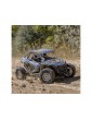 Losi 1/10 RZR Rey 4WD RTR Polaris