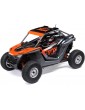 Losi 1/10 RZR Rey 4WD RTR Fox