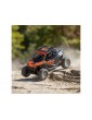 Losi 1/10 RZR Rey 4WD RTR Fox
