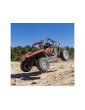 Losi 1/10 RZR Rey 4WD RTR Fox