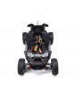 Losi 1/10 RZR Rey 4WD RTR Fox