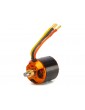 Spektrum Brushless Motor Avian 5065-450Kv
