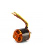 Spektrum Brushless Motor Avian 5065-450Kv
