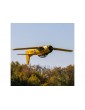 E-flite T-28 Trojan 2.0m PNP