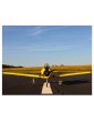 E-flite T-28 Trojan 2.0m PNP