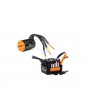 Spektrum Motor Brushless 6500Kv, ESC Firma 100A