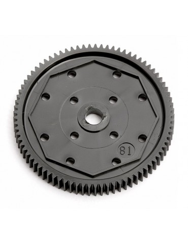 Spur Gear, 81T 48P