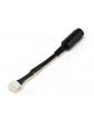 Spektrum Wired Trainer Adapter: iX12