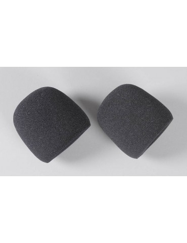 Foam filter insert, 2pce.