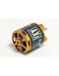 AXI 2217/12 V2 Brushless