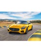 Revell Mercedes AMG GT (1:24)