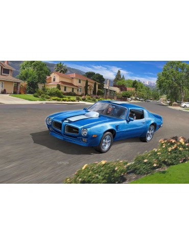 Revell Pontiac Firebird 1970 (1:25)
