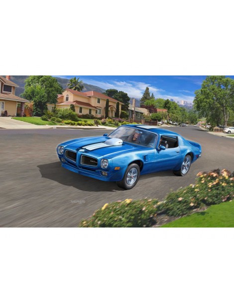 Revell Pontiac Firebird 1970 (1:25)