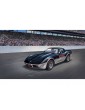 Revell Chevrolet Corvette 1978 Indy Pace Car (1:24) (set)