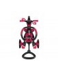 Globber - Tricycle Explorer Trike 4in1 Mint