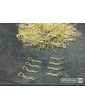 Clips Kit for 1/10 Off/On-road bodies - Gold