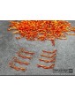 Clips Kit for 1/10 Off/On-road bodies - Orange