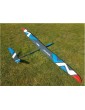 Avalanche 2.8m ARF
