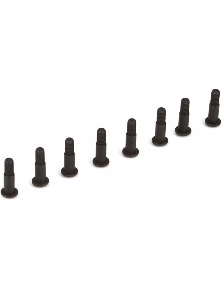 King Pin Screws (8): 22-4