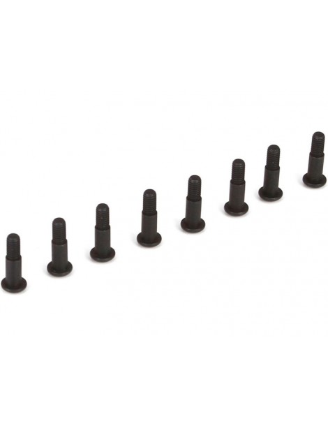 King Pin Screws (8): 22-4