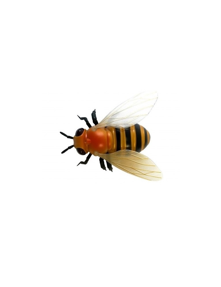 RC Bitė RC Bitė