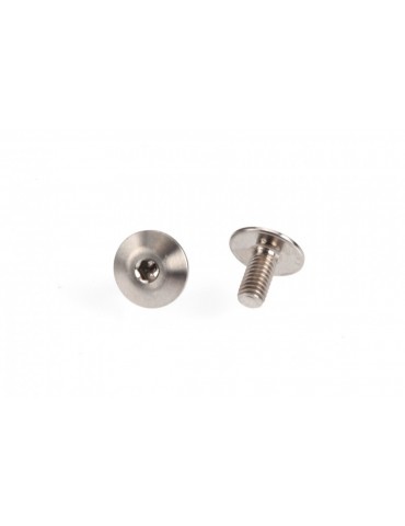 Titanium Front Wing Mount Screws (2)
