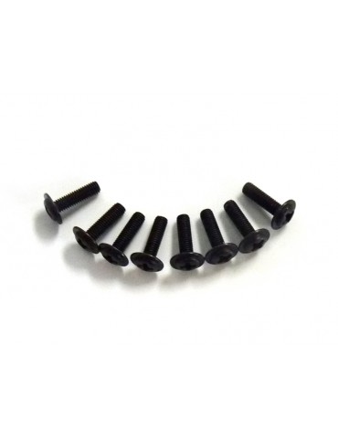 M3*10 Discal Screws 8pcs