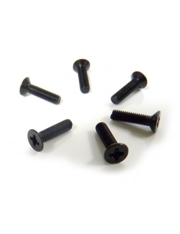 Flat Head Screws 3X12 6P