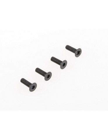 Countersunk mechnical screw (3*10) 4pcs 1/5