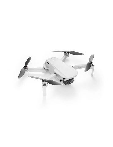 DJI Mavic Mini dronas