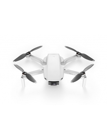 DJI Mavic Mini dronas