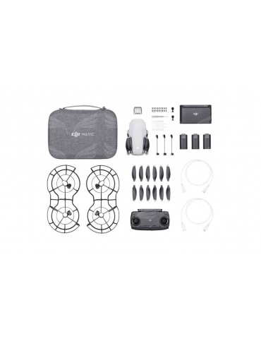 DJI Mavic Mini dronas