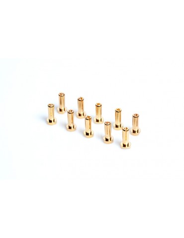 4mm Gold connectors - WorksTeam - 14mm length (10 pcs.)