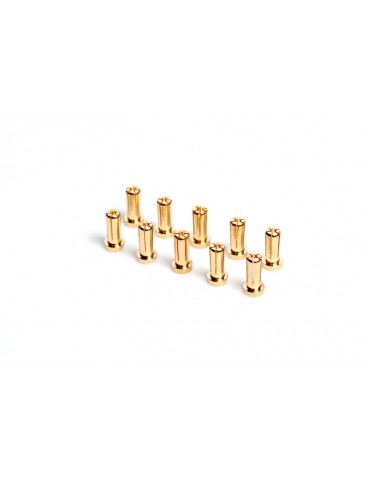 5mm Gold connectors - WorksTeam - 14mm length (10 pcs.)
