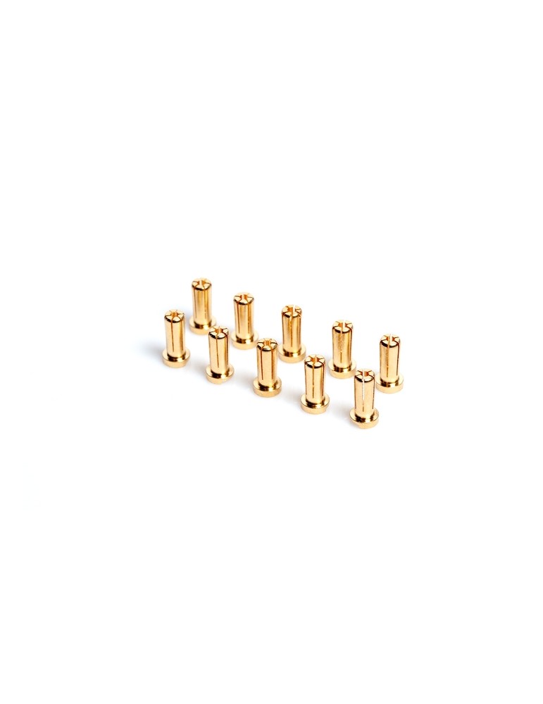 5mm Gold connectors - WorksTeam - 14mm length (10 pcs.)