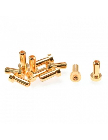 4mm Gold Plug Male 12mm (10pcs)