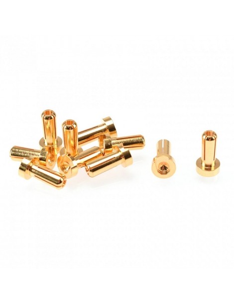 4mm Gold Plug Male 12mm (10pcs)