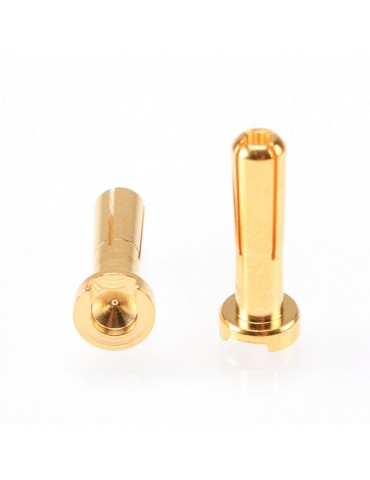 4mm Gold Plug Male 18mm (2 pcs)