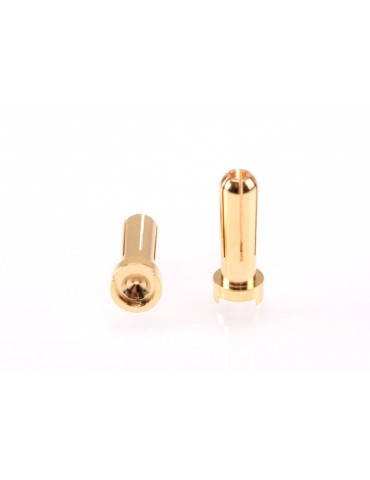5mm Gold Plug Male (2pcs)